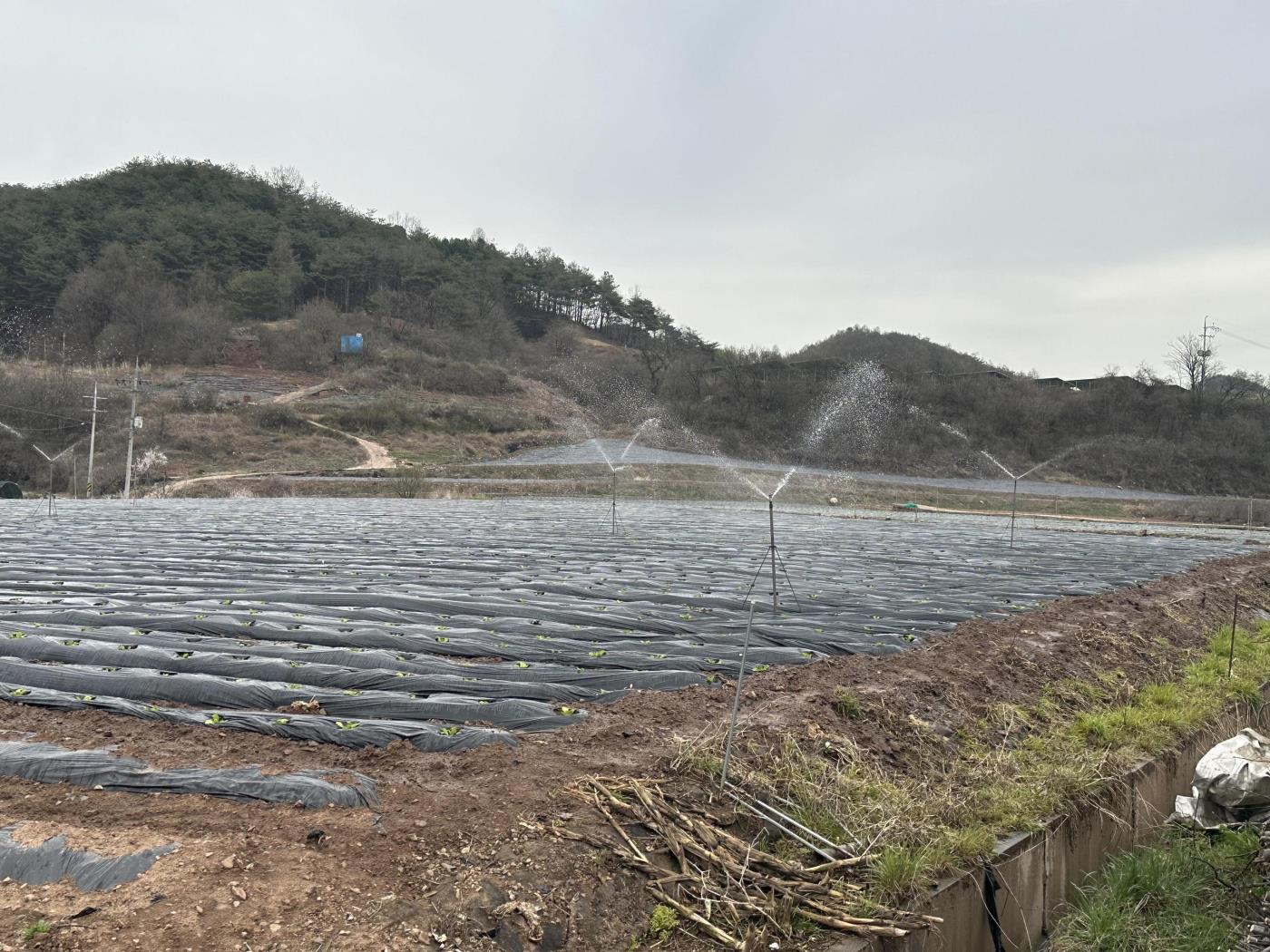 1-4 사진(영양군, 급변하는 기후와 농업환경에 적극 대응).jpg
