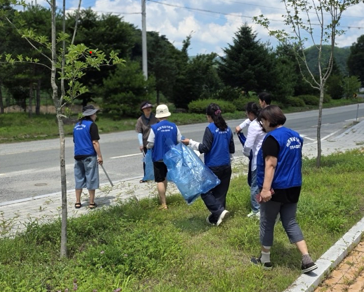 0730 도산면 바르게살기위원회, 여름맞이 대청소 실시 (1).jpg