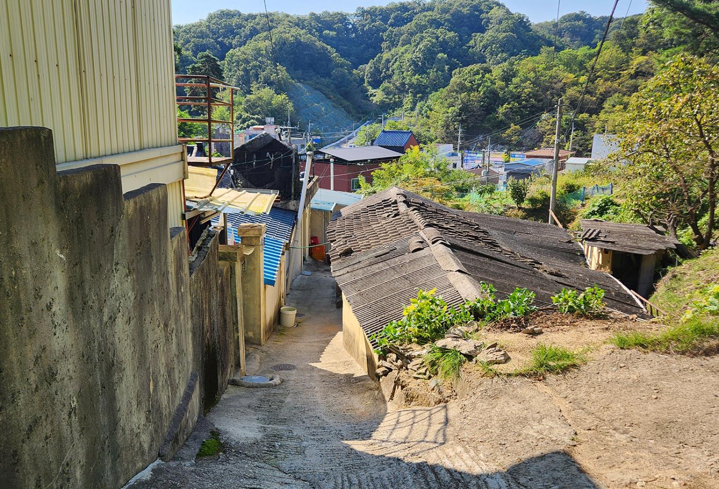 0704 안동시, ‘저층 주거지역 활성화’ 위한 지구단위계획수립 기준 마련 (3).jpg