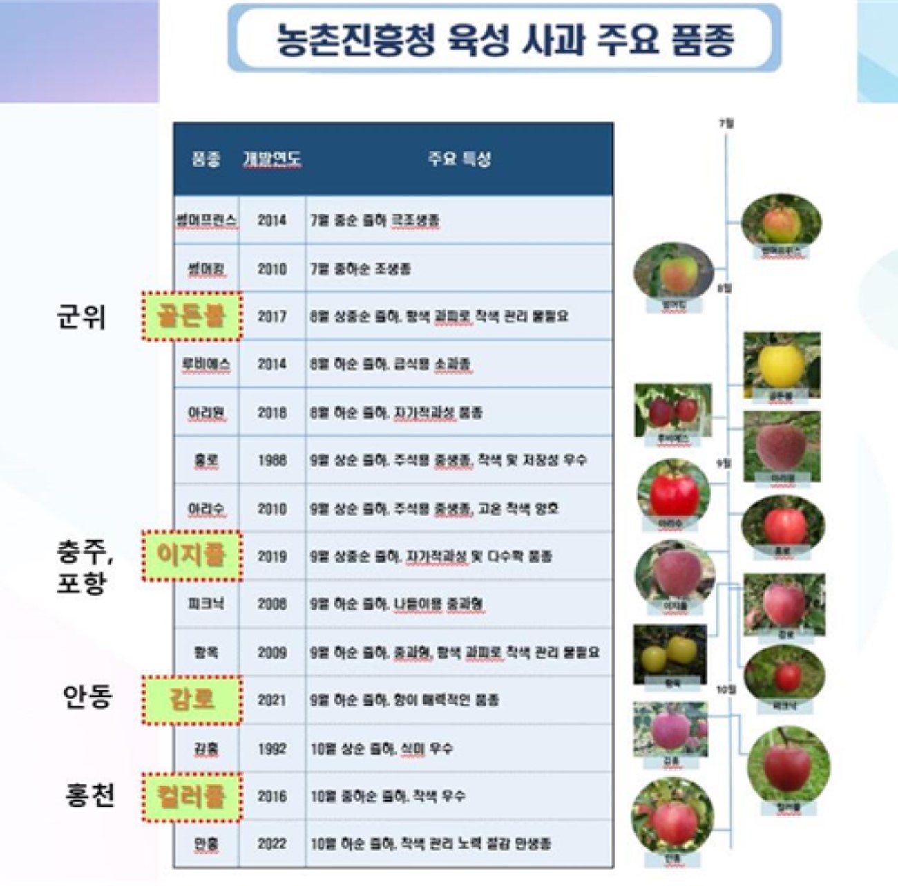 보도자료 사진2..jpg